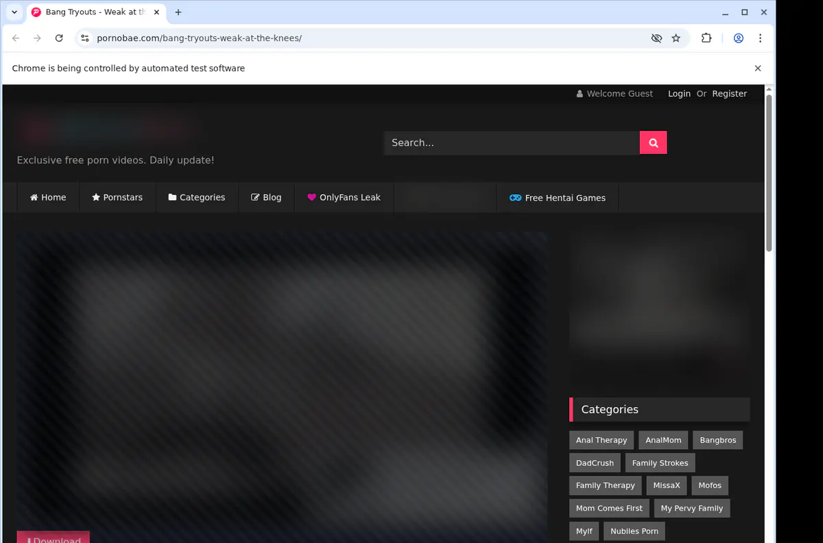 Pornobae Video Downloader browser extension screenshot 2
