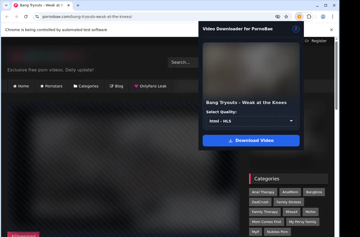Pornobae Video Downloader browser extension screenshot 3