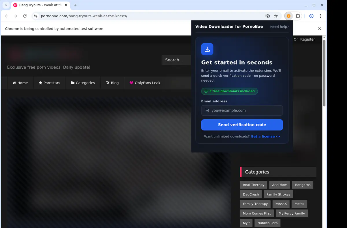 Pornobae Video Downloader browser extension screenshot 5